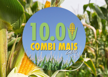 combimais-10