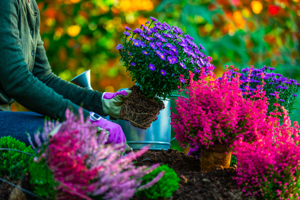 shutterstock_2052513017 shutterstock_2052513017