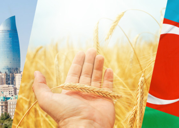 CIFO visita in Azerbaigian