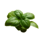 aromatiche
