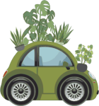 cifo-car