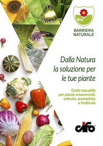 guida-cover-2025
