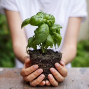 favorire-il_attecchimento-e-il-superamento-da-stress-da-trapianto