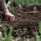 incrementare-disponibilita-dei-nutrimenti-del-terreno