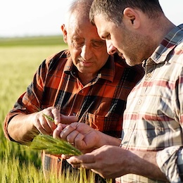 ob-agro-Incrementare-le-naturali-difese-delle-piante