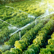 pulizia-impianti-di-irrigazione