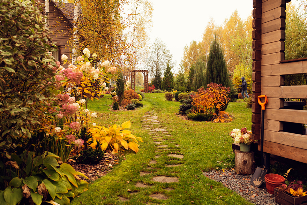 giardino nella stagione autunnale