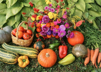 raccolto di fiori e ortaggi