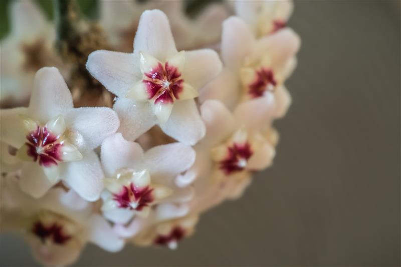 AdobeStock_1579553175 AdobeStock_1579553175