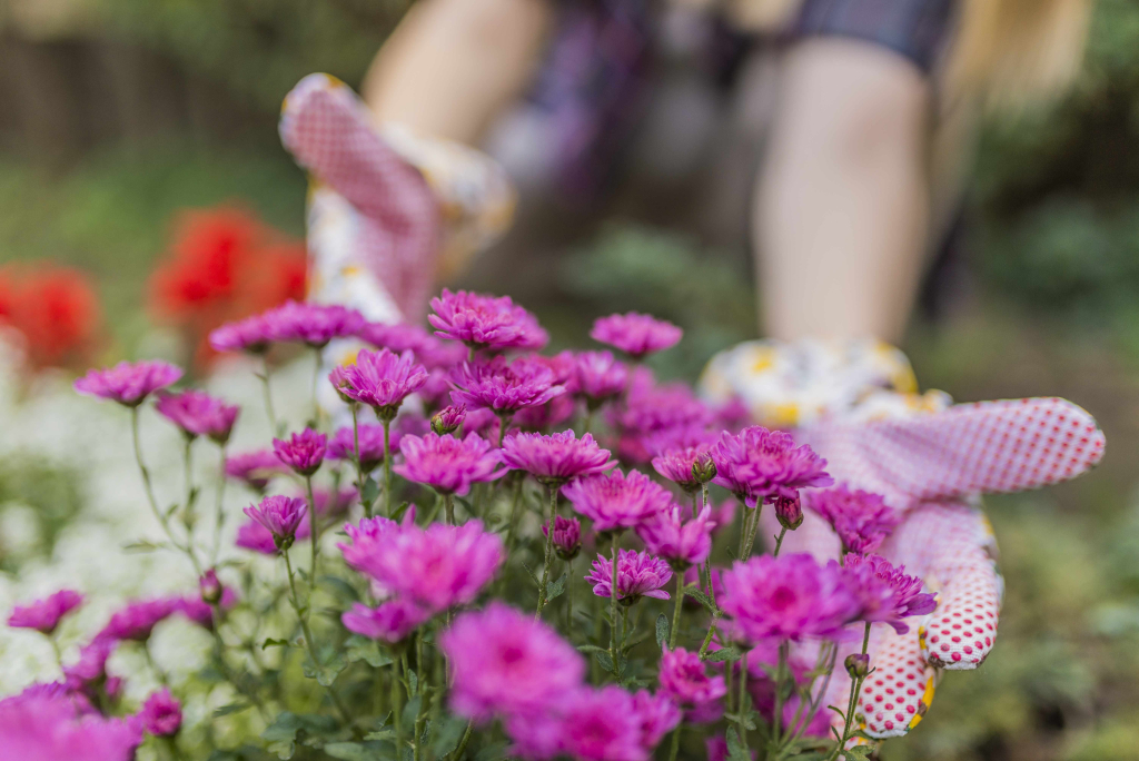 primavera-giardini-marzo_cifo giardinaggio2026