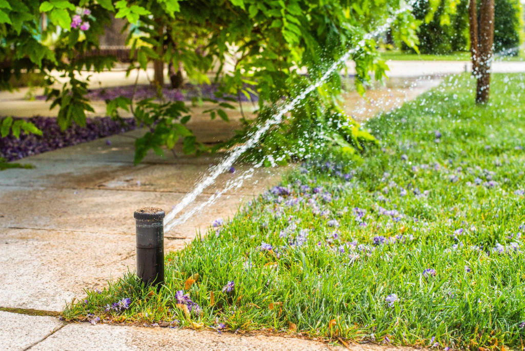 Automatic sprinklers for watering grass. the lawn is watered in summer. convenient for home. wisteria flower falls off Automatic sprinklers for watering grass. the lawn is watered in summer. convenient for home. wisteria flower falls off