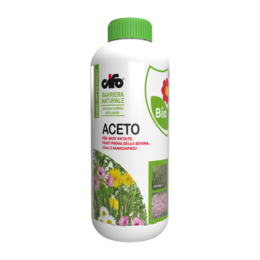 Aceto-1