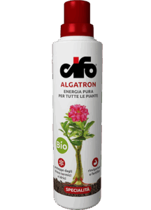 Algatron