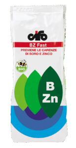 BZ-fast