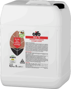Blok-TE-6kg_web