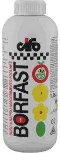 Borfast-1_webL