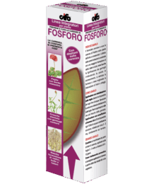 Fosforo