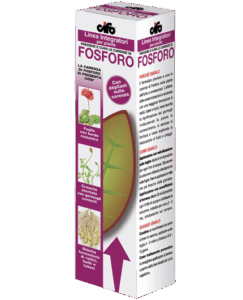 Fosforo