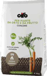G_orto