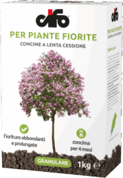 G_piante-fiorite-LC