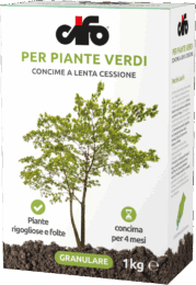 G_piante-verdi-LC