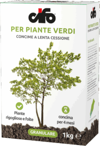 G_piante-verdi-LC