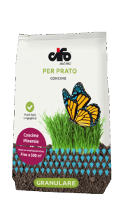 G_prato-copia-3