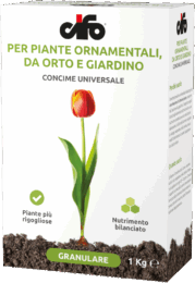 G_universale