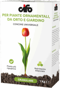 G_universale
