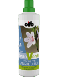 Granverde-sangue-di-bue-web-1