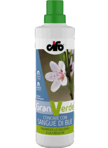 Granverde-sangue-di-bue-web-1
