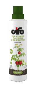 L_orto