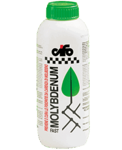 MOLYBDENUM-FAST