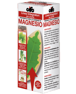 Magnesio