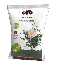 SOLFER