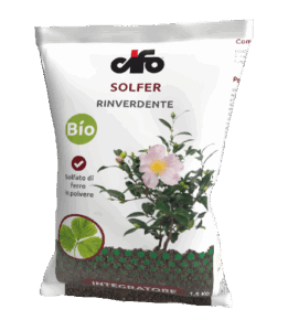SOLFER