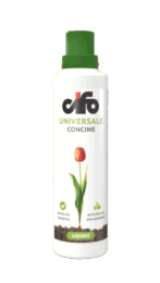 Universale-web-1