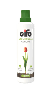 Universale-web-1