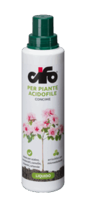 acidofile