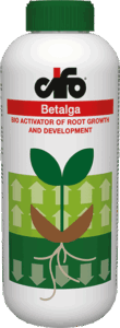 betalga-1L-en