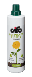 fiorite-e1497437684794