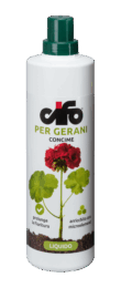 gerani