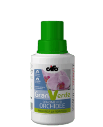 granverde-concime-orchidee-min