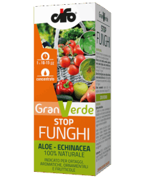 granverde-funghi-aloe