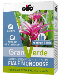 granverde-speciale-fiala-monodose-nutrimento-min