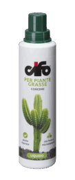 piante-grasse