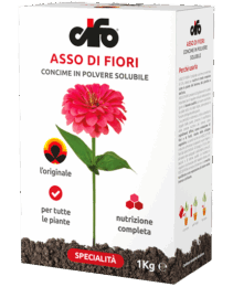 prodotto-cifo-asso-di-fiori-min