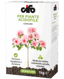 prodotto-cifo-concime-acidofile