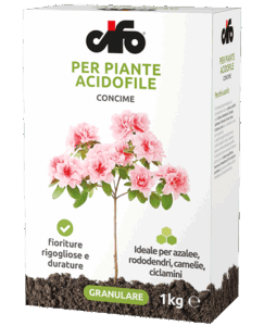 prodotto-cifo-concime-acidofile
