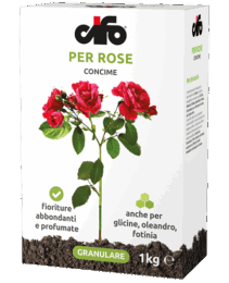 prodotto-cifo-concime-rose
